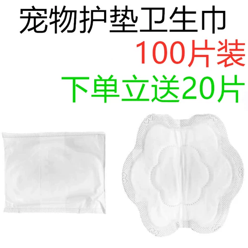 Boy Dog Deminity Pet Pet Pets Teddy Teddy Active Menstrual Pad тетя Golden Mao Sanitage Titter Diarine Женщина