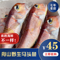 Zhoushan wild fresh liquid nitrogen frozen horse head fish horse noodle fish about 1 kg 2 pieces sold by kg Starting from 2 kg