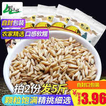 500g * 2 bags of wild Sanpo oatmeal oat kernel farmhouse 2021 new rice germ rice Derm rice naked oats grains coarse grains