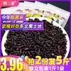 500gX2 bags of Ye Sanpo Northeast black rice Black fragrant rice Wuchang Purple rice porridge farm grains 10 fat low rice glutinous rice