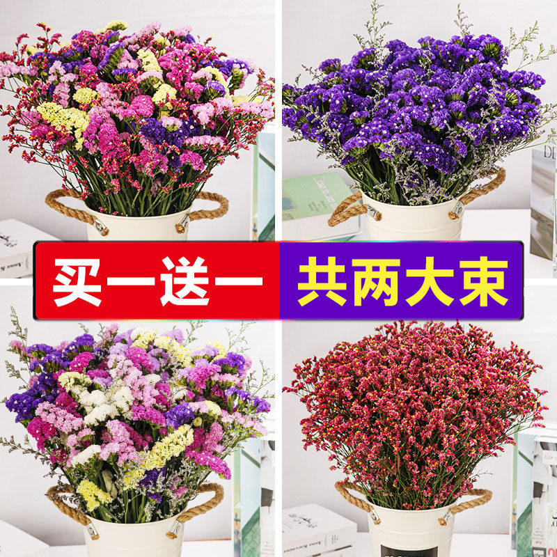 What flowers to put on the TV cabinet in the living room, what flowers to put on the refrigerator, and what flowers to buy during the Spring Festival when moving to a new house - Taobao