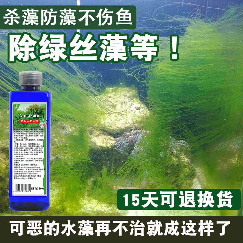 Fish tank water green water yellow how to do the fish tank removes algae dehydrate to green moss and remove king V