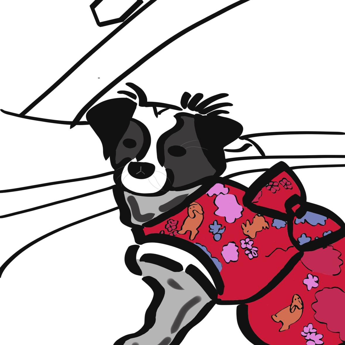 喵喵淼淼圆又圆
