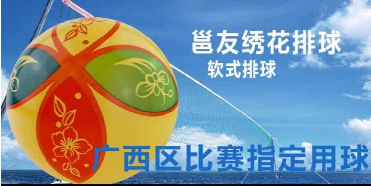 Ballon de volley-ball - Ref 2011688 Image 5