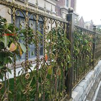 Shanghai Iron Art Fence Iron Art Guard Rail Villa Courtyard Railing Iron Art Wall Railing Iron Fence Iron Art Fence