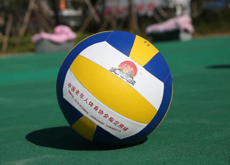 Ballon de volley - Ref 2008890 Image 14