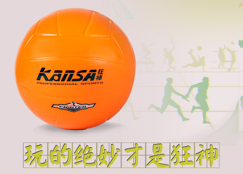 Ballon de volley-ball - Ref 2008889 Image 6