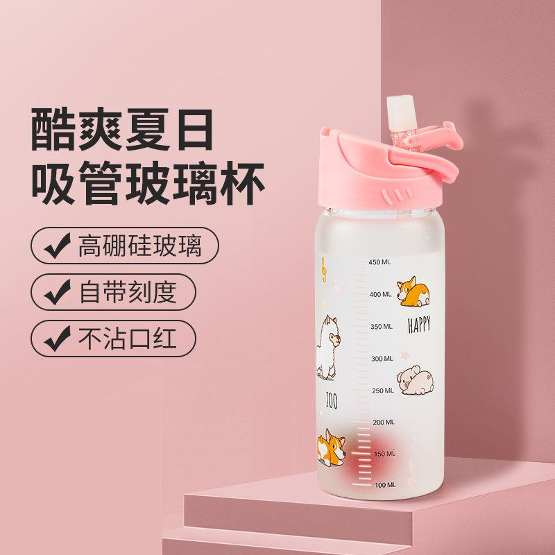 Beiche Yu Cup Girls Cute Girls With Straw Net Red Water Cup Fresh Student Portable Cup Frosted Glass