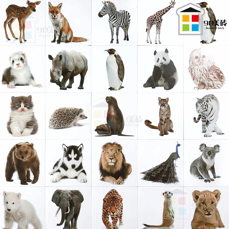 Nordic Kindergarten Wall Tiles Lions Elephant Tiger Animals Small Flowers Brick Children House Amusement Park Non-slip Floor Tiles