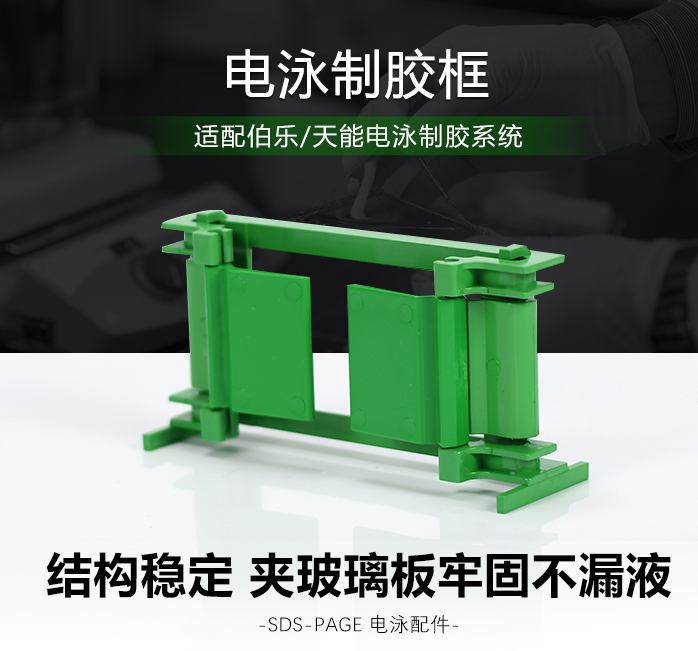 小型垂直电泳制胶框 夹胶框 绿色制胶框 可通用 伯乐 bio-rad 原