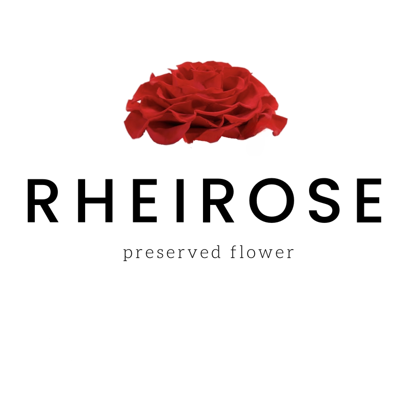 RHEIROSE 莱茵花礼的LOGO