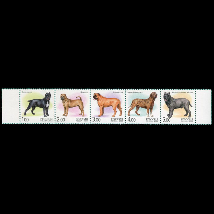 Russian stamps 2002 Dog stamps 5 New tandem tickets Foreign stamps Collection Offers XC