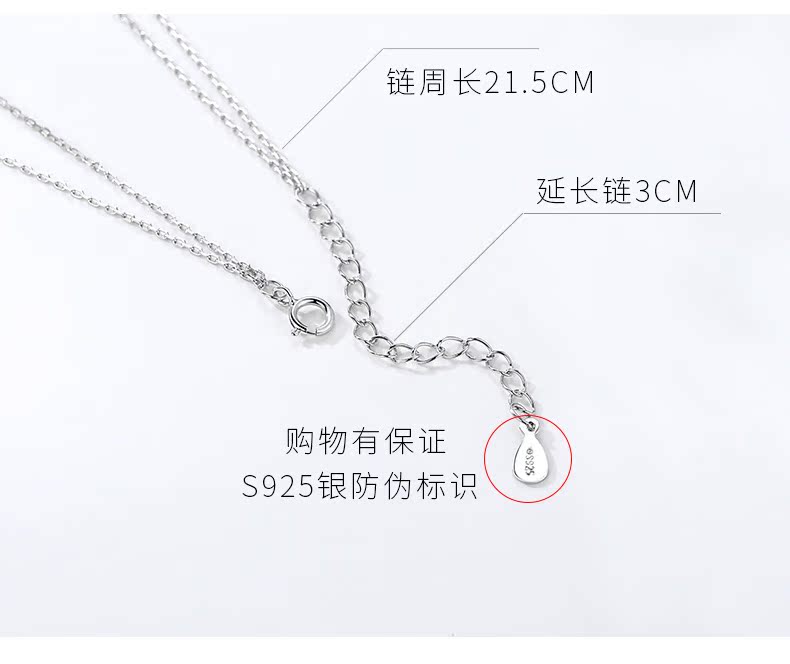 Chaine de cheville Femme FROMLOVER     en Argenterie - Ref 3103758 Image 13