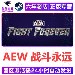 Aew Fight Forever Steam Genuine Activation Code Aew Fight Forever China Region Cdkey