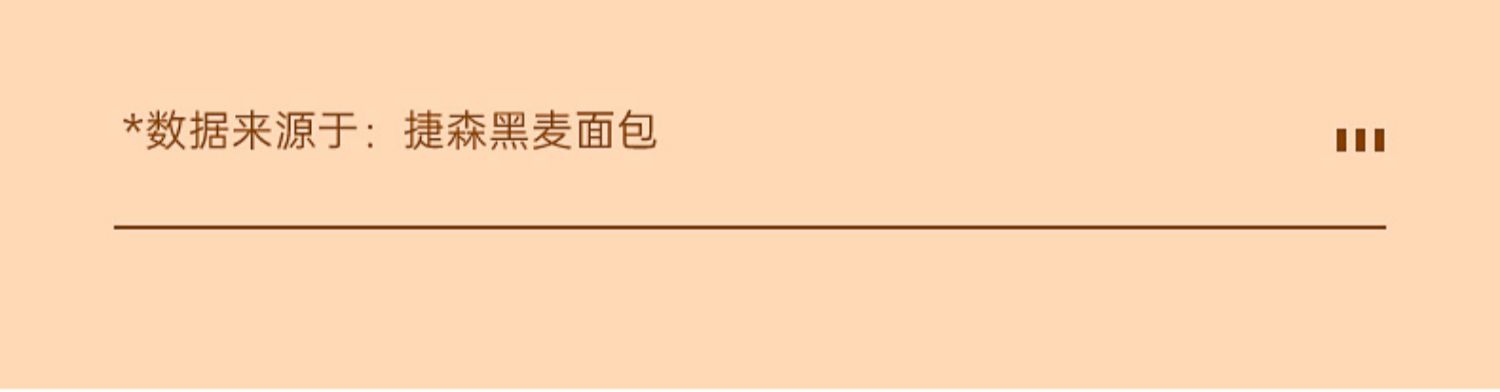 捷森】德国进口全麦面包无蔗糖低脂高纤500g