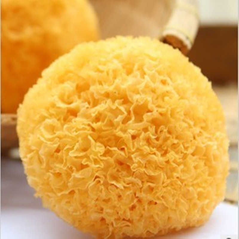 Group buy farm new ugly ear yellow small flower soft waxy silver fungus Wild white fungus 500g promotion