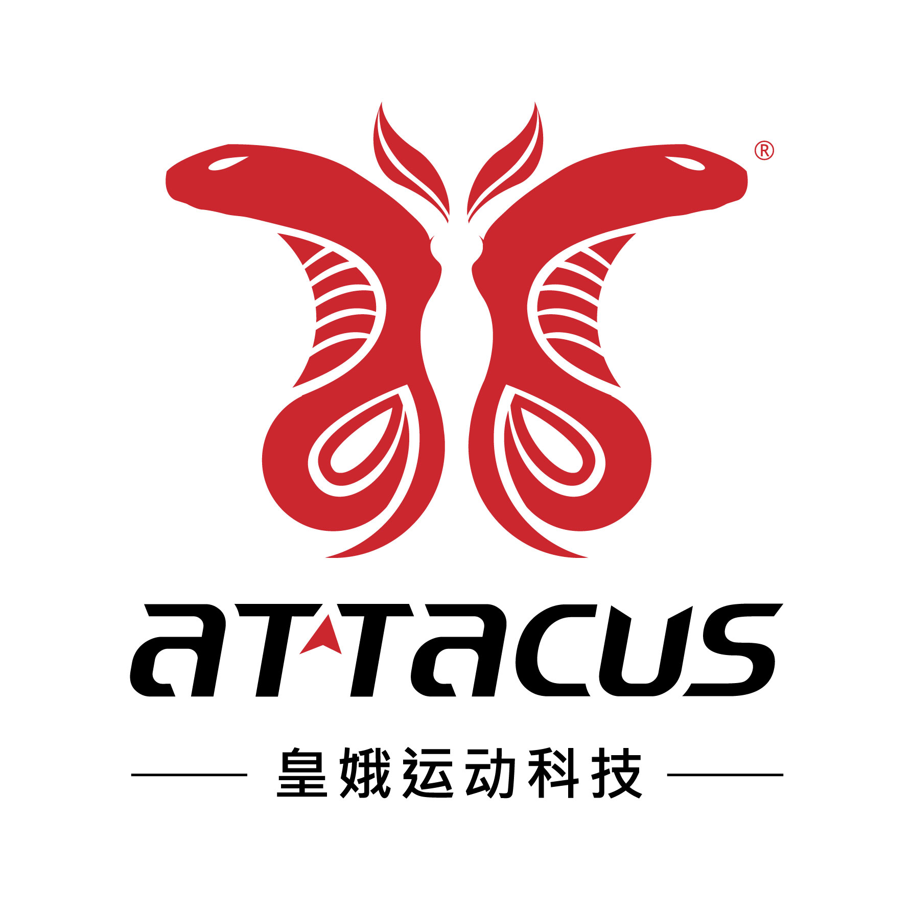 皇娥运动企业店