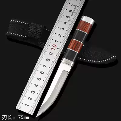 Outdoor saber straight knife knife self-defense military tool car special warfare wilderness survival special forces portable knife sharp