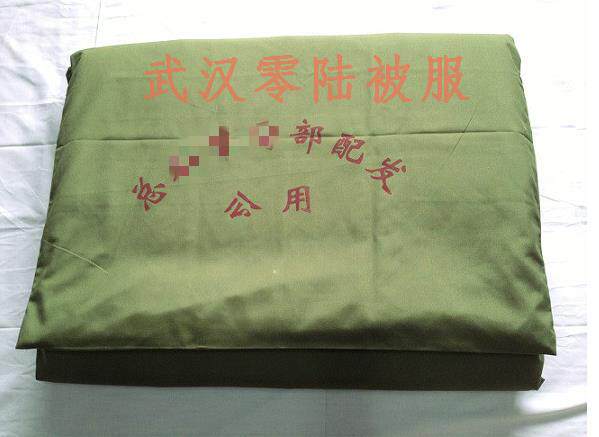 01 Cotton Tire Hot Melt Single Bed Mat Student Dormitory Mattress Warm and Moisture-proof 01 Mattress Cotton Tire