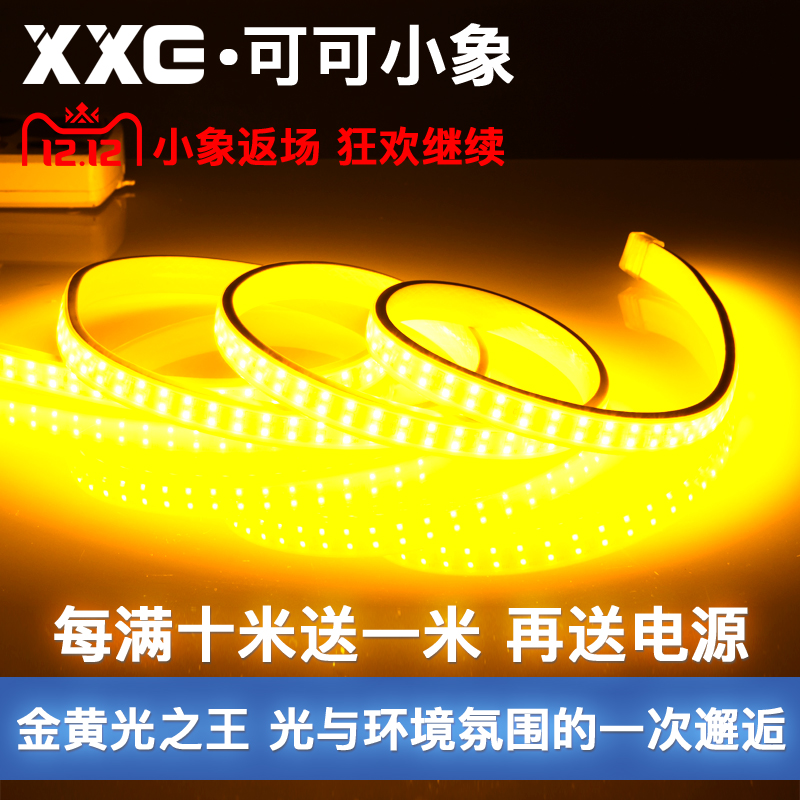 Double row lamp with LED living room ceiling ultra high brightness three rows of gold yellow light 220V outdoor waterproof purple pink lamp belt