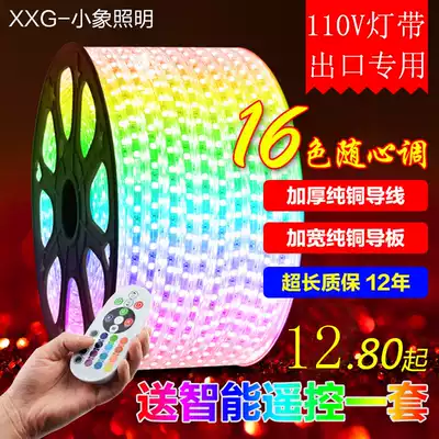 110V light with led colorful color change smart 5050 remote control RGB living room ceiling household line light Outdoor waterproof