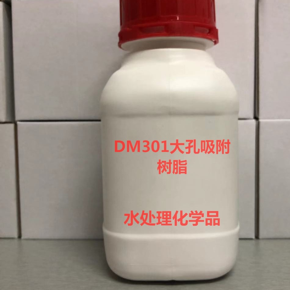DM301大孔吸附树脂苯乙烯型中极性共聚体500g 量大从优