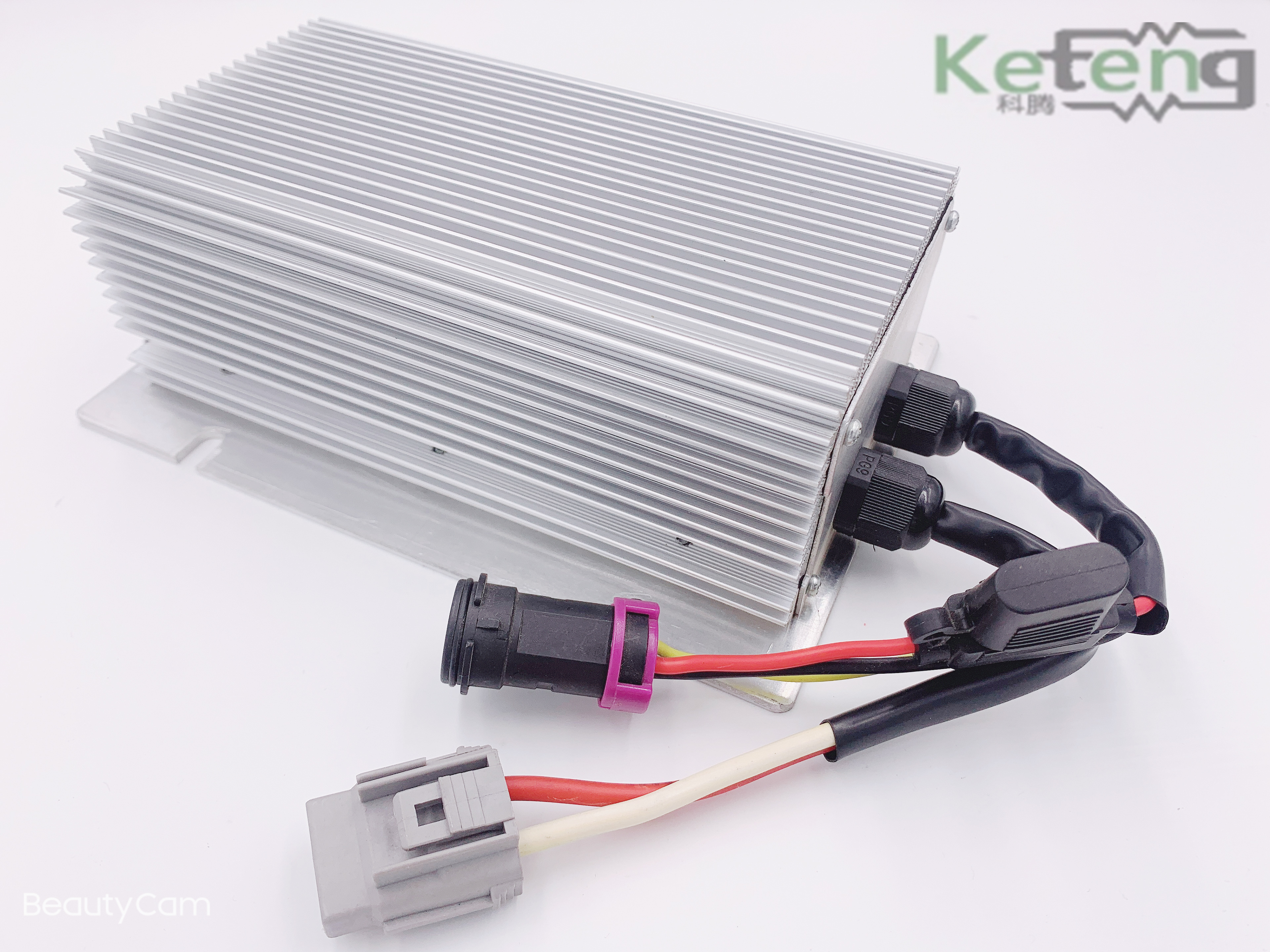 The Golden Peng D70 Maidi Baja Electric Vehicles DC Converter