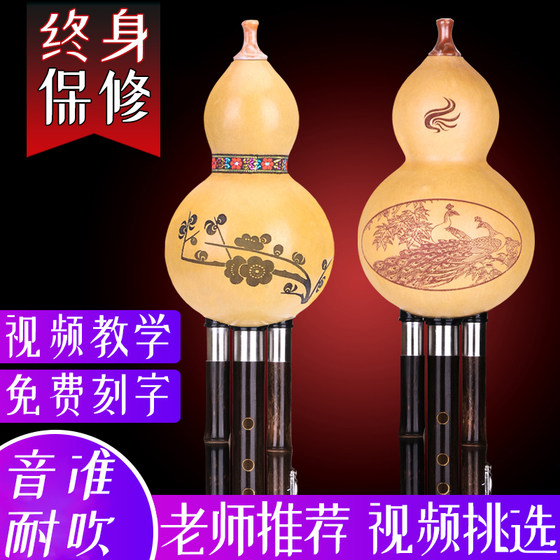 Peacock River gourd silk beginner professional C down B tune students self-study entry AGFD tune Yunnan Zizhu 5 tonality