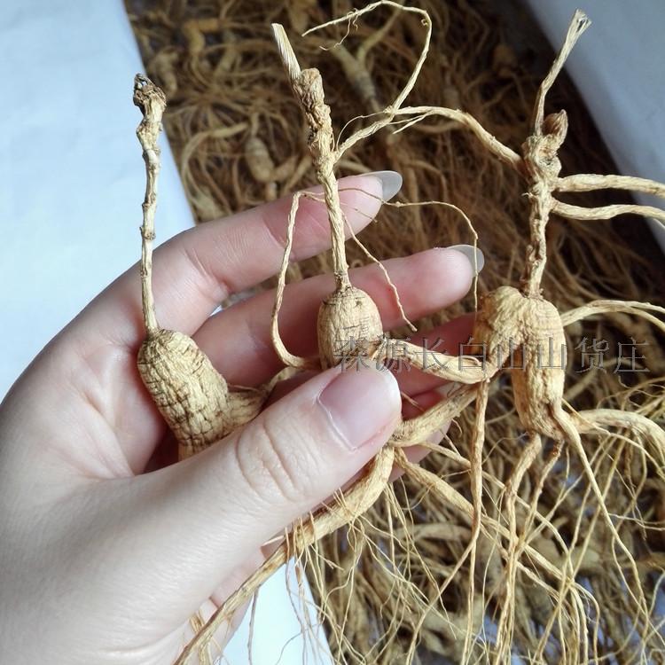 Northeast Jilin Changbai Mountain Ginseng 7-10g