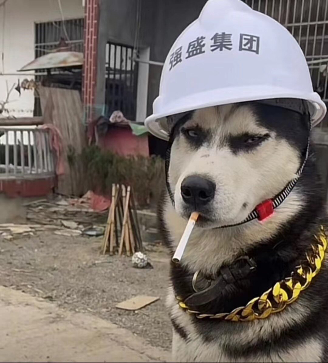 小海刷机店