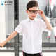 Knight Baylor Children's Clothing 2024 New Summer Boys' Short-Sleeved Shirt Korean Style Trendy Children's Pure Cotton Performance White Shirt