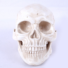 прикол Хэллоуин Хэллоуин поставок бар хоррор