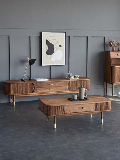 北欧实木电视柜黑胡桃木色中古风简约现代轻奢风琴门设计师影视柜