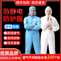 Electrostatic clothing dust-free clothing work clean clothing conjoined male farm pig female spray paint protective clothing suit electronics factory
