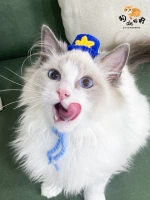 Размер единственной шляпы на странице деталей