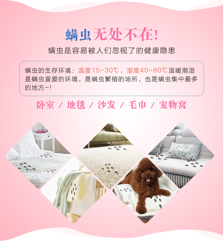 xịt muỗi mosfly Châu chấu Nhật Bản dán hộ gia đình chống mite túi xịt khử mùi giường dùng một lần để cào cào - Thuốc diệt côn trùng bình xịt côn trùng của nhật