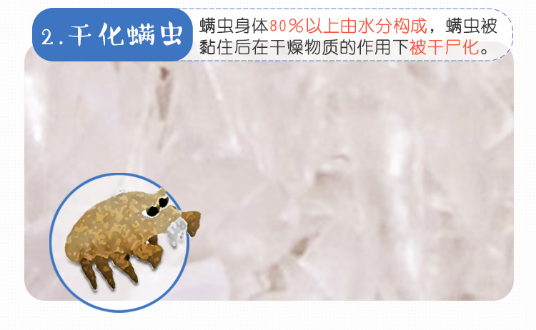 bình xịt côn trùng mosfly Nhật Bản nhập khẩu mạt vá hộ gia đình để loại bỏ bọ ve giết ve chống ve ve đăng lên giường không phun bụi - Thuốc diệt côn trùng thuốc xịt côn trùng raid