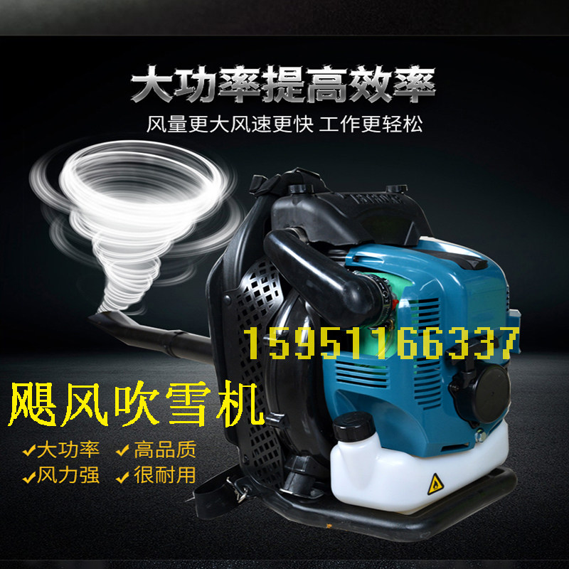 Original back negative four-stroke high-power gasoline hair dryer forest fire extinguisher snow blower Garden