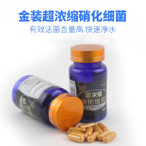 Tuopang super concentrated nitrifying bacteria powder fish tank water quality stable water purification agent live bacteria capsule photosynthetic bacteria