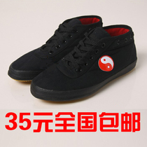 Autumn and winter counter double star cotton shoes martial arts shoes Tai Chi shoes practice shoes thickened beef tendon sole men and women the same style