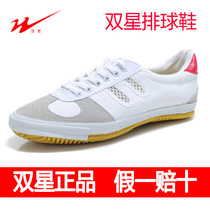 Double star volleyball shoes Training shoes Cattle tendon bottom mens and womens breathable shoes Canvas shoes in the examination sports shoes Military training shoes