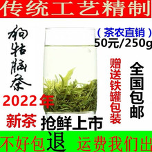 2022 Чай в розливе Цзянси Зеленыйчай Собака с головным мозгом Чай супер - класса 250 г Чайный фермер прямые продажи