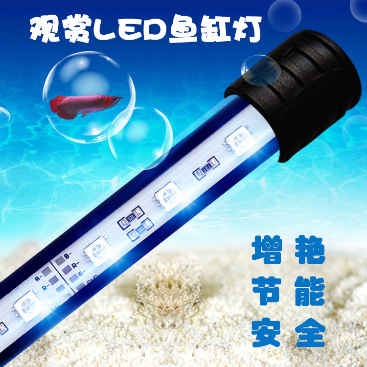 With switch three lake fish LED dive lamp LED aquarium lamp LED aquarium lamp LED fish tank lamp viewing blue and white fish