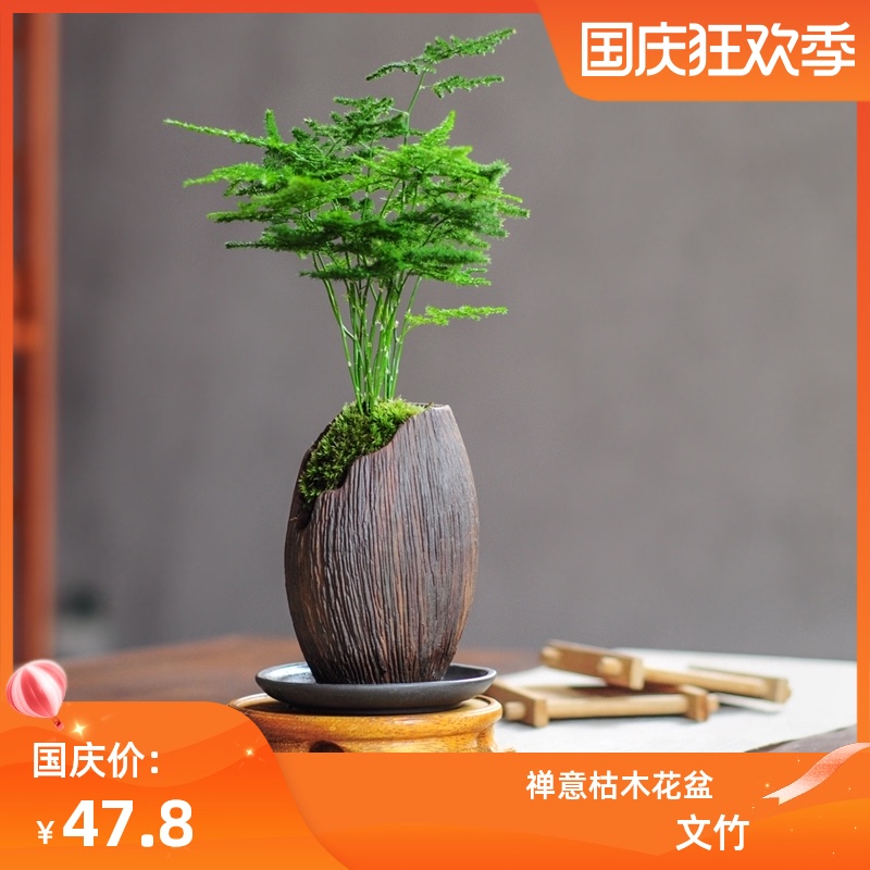 Wenzhu green plant indoor potted plant good to raise office window sill Four Seasons mini desktop creative small bonsai