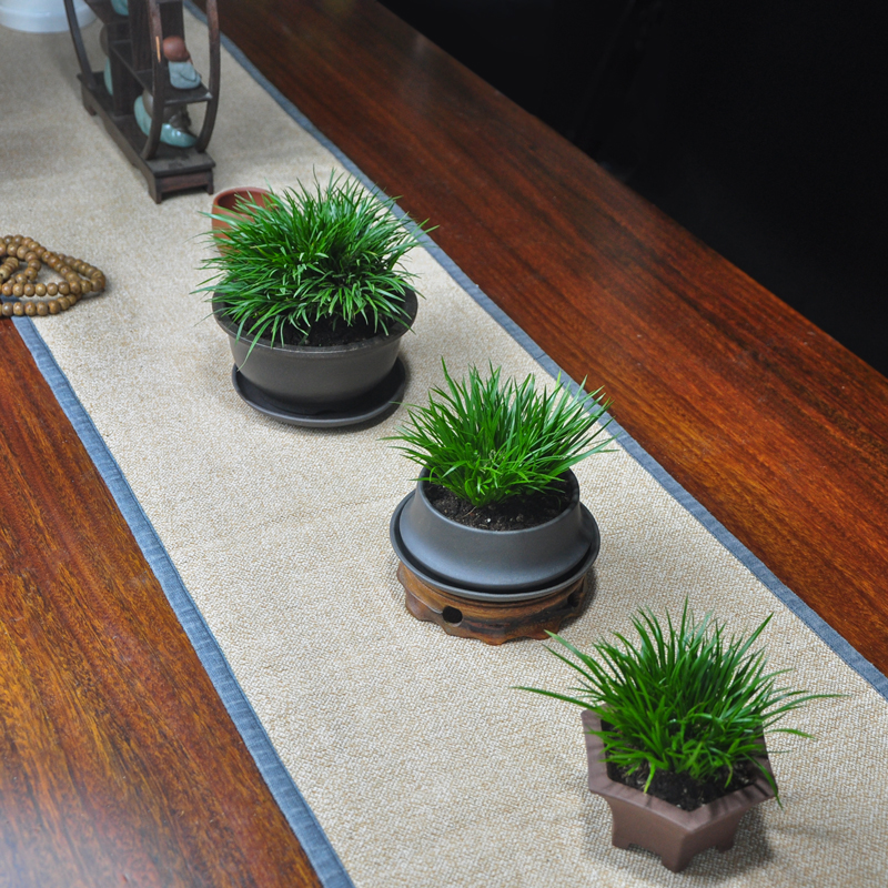 Golden Qiangsu Gyu Zen Indoor Pot View Meditation Plant China Fengtabletop Tea Chamber Purple Sand Pot Plant