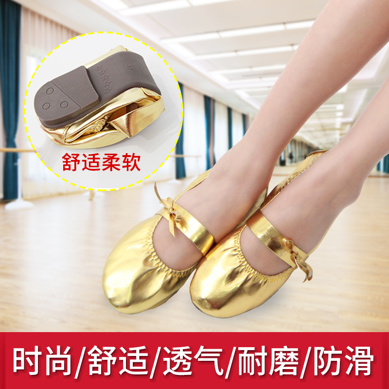 Classical Dance Shoes Female Soft-soled Professional Training Shoes Flat-soled Adult Breathable Anti-slip Dance Shoes Belly Dance Shoes