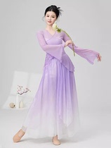 Classical dance clothing body rhyme gauze practice clothing butterfly style dance clothing fairy fluttering performance clothing set new style women