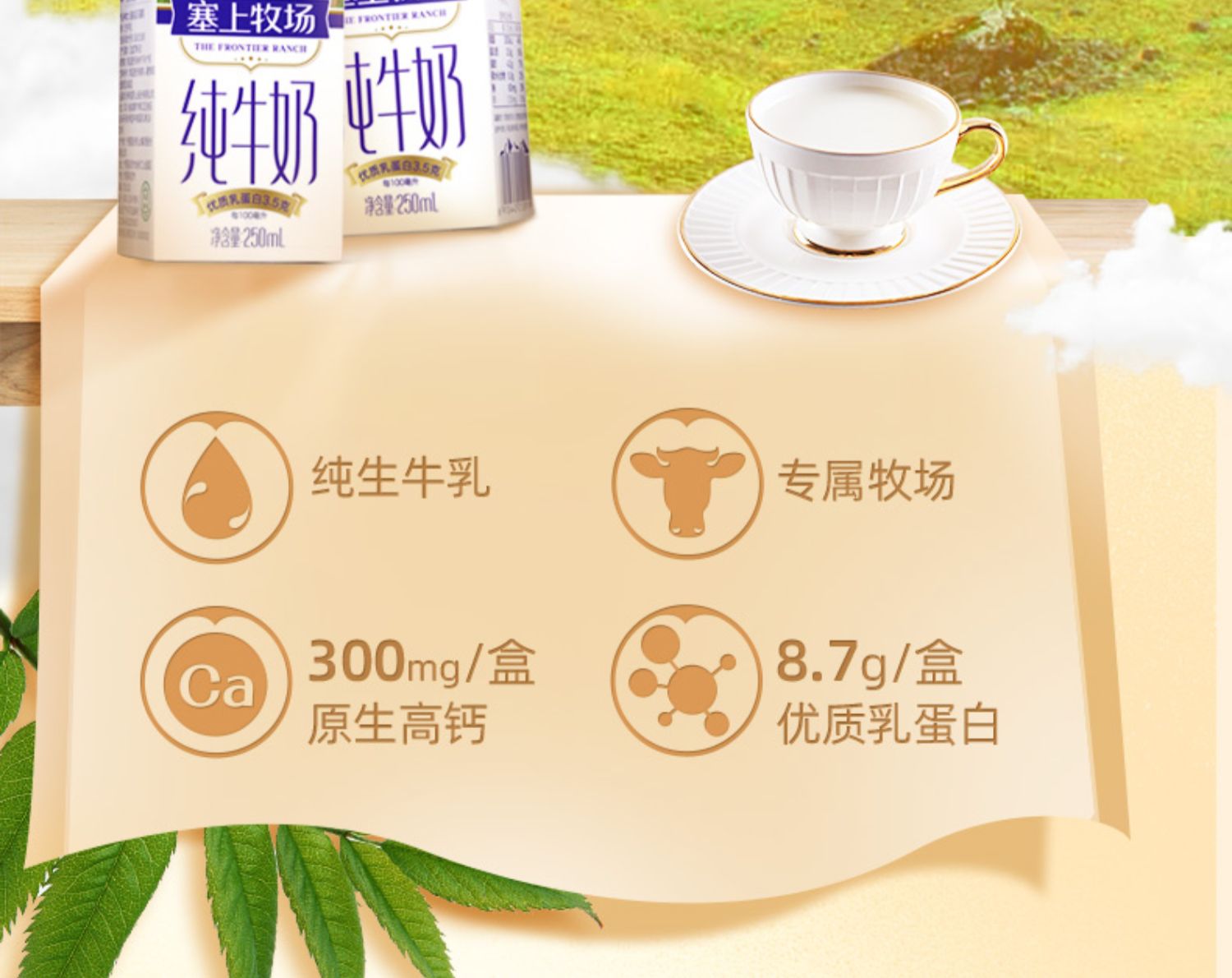 【冲量价】塞上牧场纯牛奶整箱12盒250ml