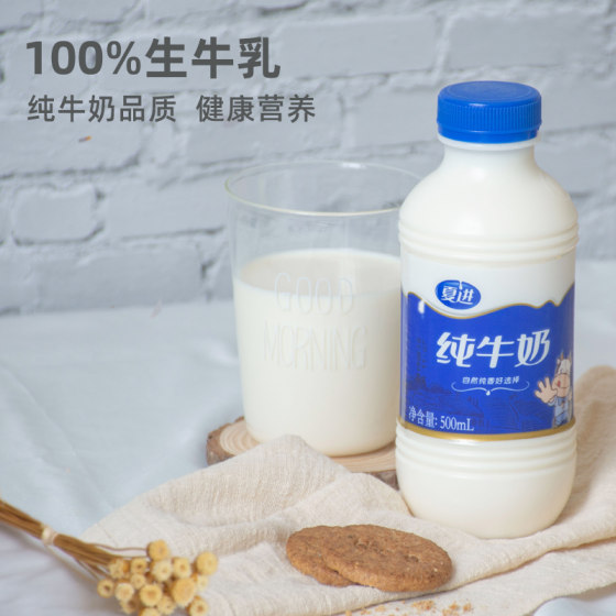 Xiajin Pure Milk Whole Box 500ml*12 Bottled Milk Breakfast Large Bottled Ningxia Milk