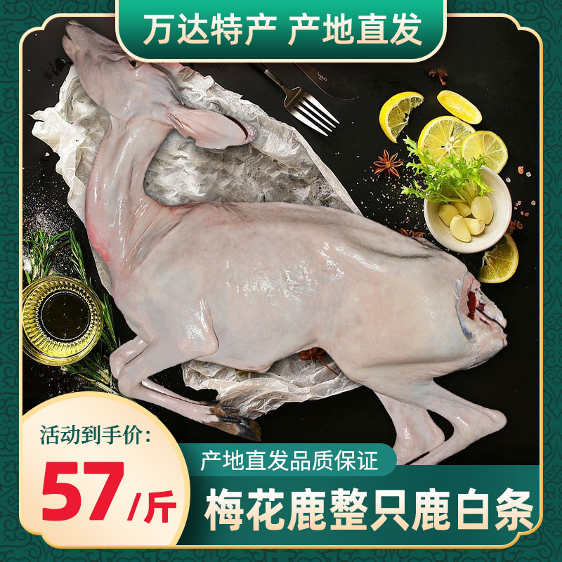 57 a jin, 60 jin starting shot] Sika deer whole deer white striped sika venison fresh without antler deer whip deer tail